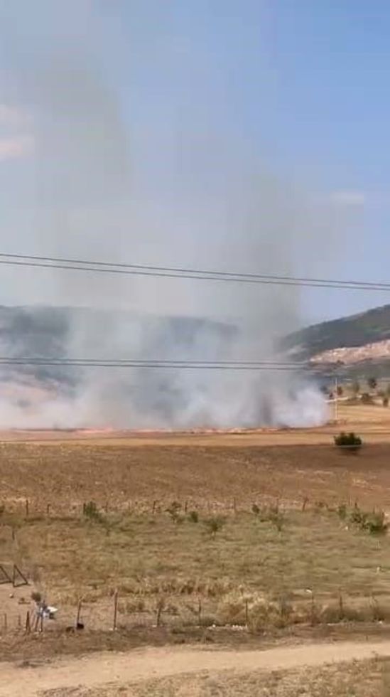 Tarlayı ateşe veren zanlı yakalandı