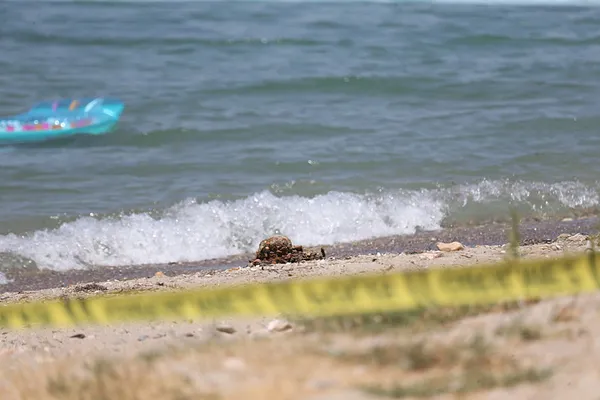 Çanakkale plajında tarihi mühimmat paniği